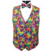 Mardi Gras Plumes Vest and Bowtie